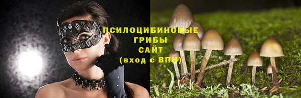 тгк Пестово