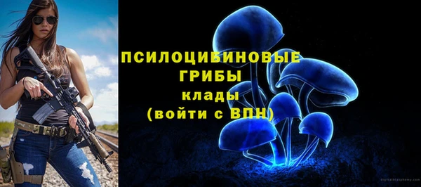 МДПВ Алзамай