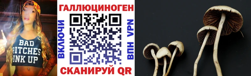 ссылка на мегу вход  Сосновый Бор  Галлюциногенные грибы Psilocybe 